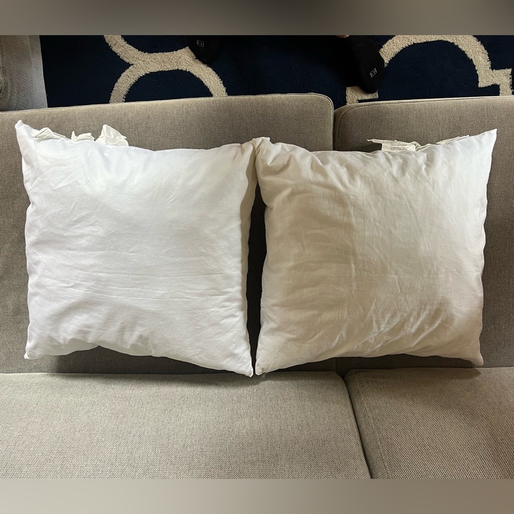 Set of 2 Pottery Barn pillow inserts 20x20”